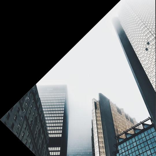 立普思国际教育